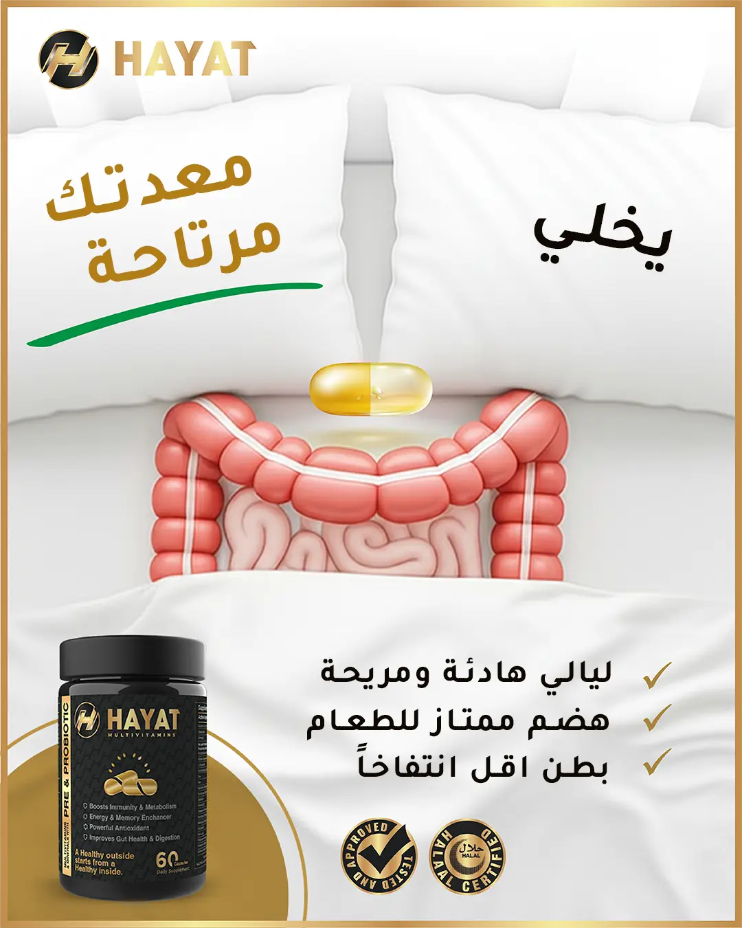Boost Immunity & Digestion - Hayat Pre & Probiotics (2 bottles Offer)