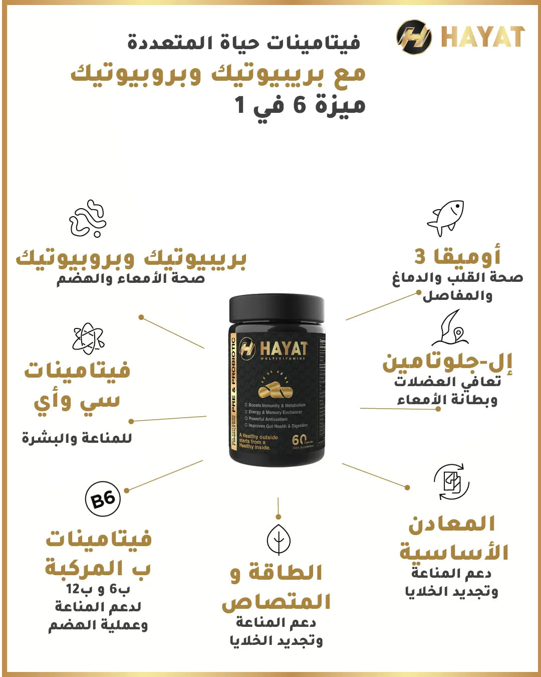 Boost Immunity & Digestion - Hayat Pre & Probiotics (2 bottles Offer)
